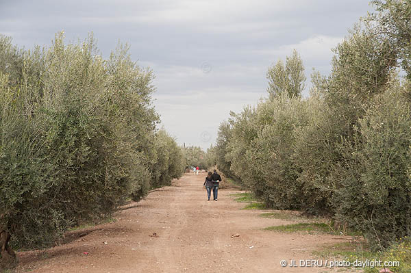 Marrakech